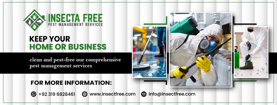 Cover photo of Insecta Free Pest Control